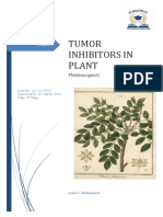 Tumor Inhibitors in Plant