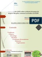 Adsorción de CD (II) KOH Con Carbones Activados de Pepas de Níspero de Palo.-Autora Gloria Delgadillo