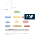 Biología Taller Contaminación Ambiental