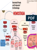 Hemostasia Mapa Mental de Las Fases