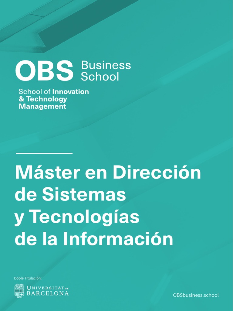 Pdf Programa Máster En Dirección De Sistemas Y Tecnologías De La
