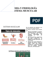 Anatomia y Fisiología Del Sistema Muscular