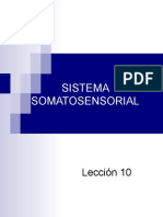 SistemaS Y Somatosensorial. RESUMEN 2020