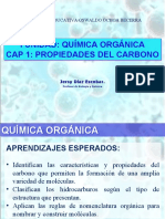 Quimica Del Carbono