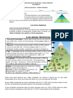 3° Guia 2 C. Sociales Periodo 1 PDF