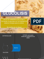 Glucólisis.pptx