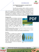 Nutricion Vegetal La Funcion de Los Nutrientes Esenciales Parte II PDF