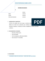 INFORME EJEMPLO 2.docx