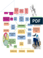 Mapa Estudio de Mercado PDF