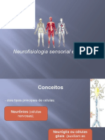 Sistema Nervoso -.pptx