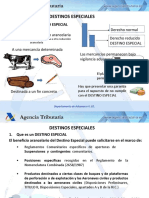 Destinos Especiales.pdf