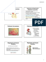 Circulação coronariana_IAM.pdf