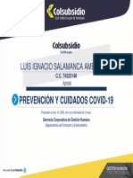 Certificado Curso de Protocolos y Cuidados PDF