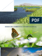 5. Presentación - Derecho ambiental internacional.pptx