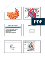 Fisiologia da circulação