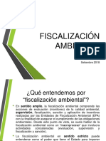 FISCALIZACIÓN AMBIENTAL.pdf