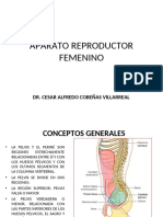 APARATO REPRODUCTOR FEMENINO 2020 Anatomia PDF