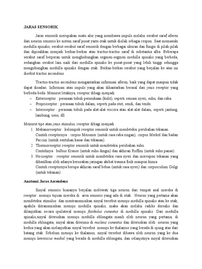 Struktur dan Fungsi Jaras Sensorik | PDF | Sains & Matematika