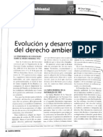 Evolución Del Derecho Ambiental PDF