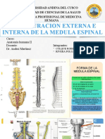 Médula Espinal 