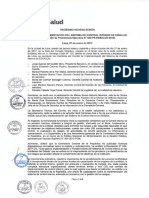 Comite de Implementacion SGSS PDF