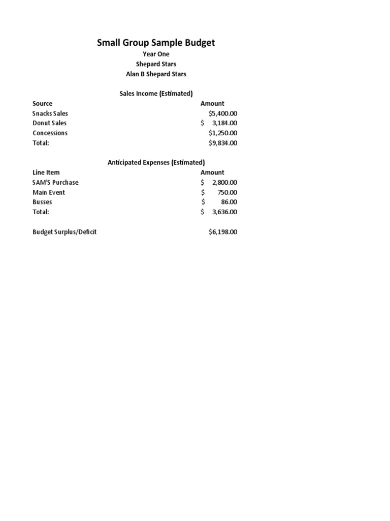 Small Group Budget Overview Year One | PDF