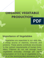 ORGANIC Vegetables1