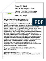 Pase Trabajo PDF