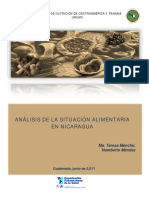 NIC 2005 - ANALISIS DE LA SITUACION ALIMENTARIA_PTG