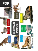 Pupus Dan Diancam Kepupusan Pdf