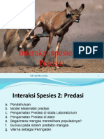 Interaksi Spesies 2 Predasi - 2020