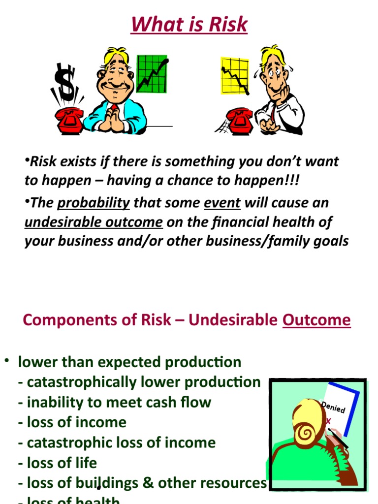 Understanding Business Risk Factors | PDF