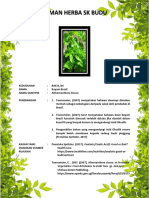 B4 Bayam Brazil PDF