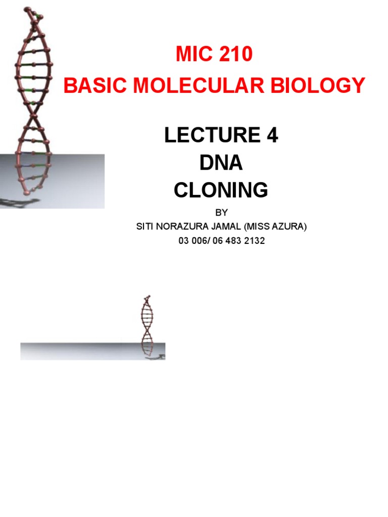 MIC 210 Basic Molecular Biology DNA Cloning PDF Molecular Cloning