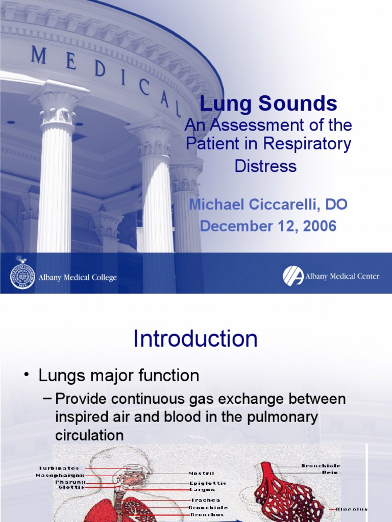 Lung Sounds: An Assessment of The Patient in Respiratory Distress | PDF ...