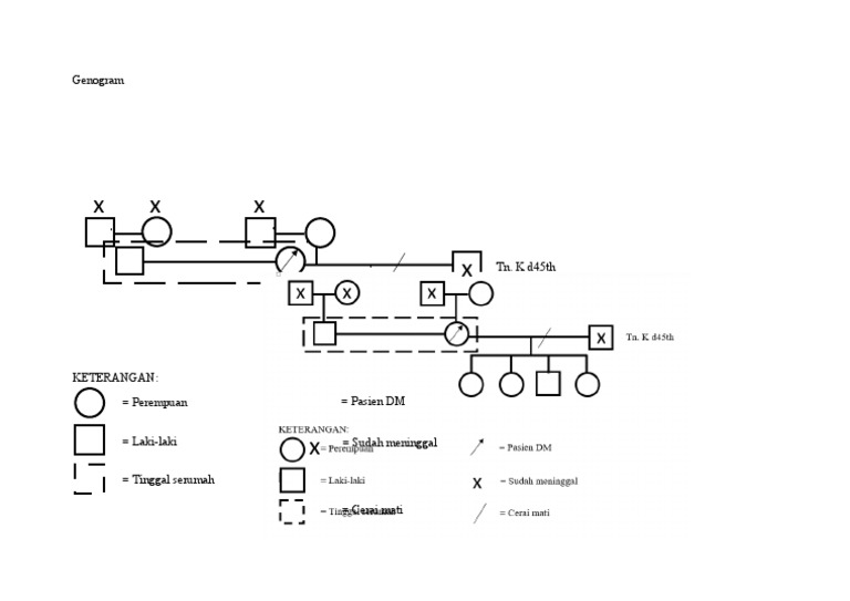 Contoh Genogram Pasien DM 3 Generasi | PDF
