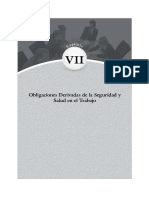 obligaciones del empleador derivadas de la seguridad y salud en el trabajo