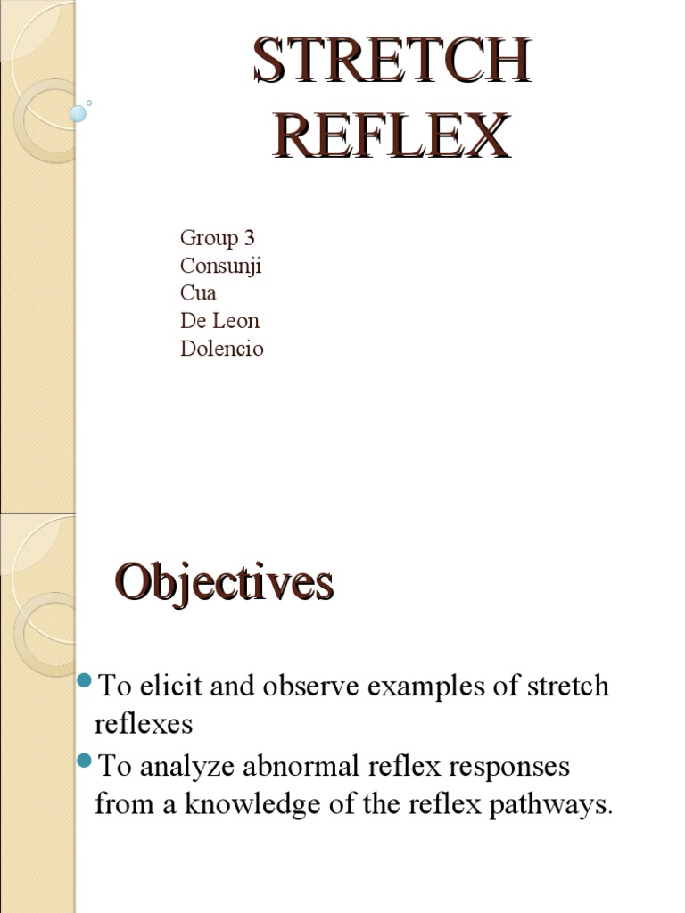 Understanding the Stretch Reflex | PDF | Motor Neuron | Muscle