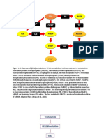 Figure For Question 2