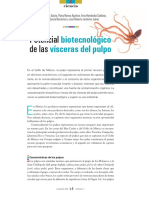 Biotecnologico Pulpo PDF