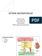 Ikterik Neonatorum