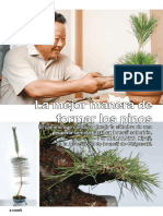 Bonsai Pasion 51 - PDF - page.pdf