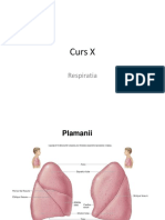 Curs 10 PDF PDF