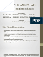 Cleft Lip and Palate (Labiopalatoschizis)