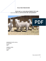 Modelo PNT Alpacas PDF