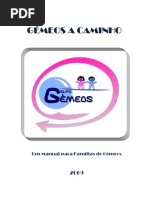 Manual Gemeos