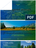 Endangered animals.pptx