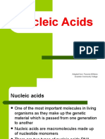 Nucleic Acids: Adopted From: Francine Williams Excelsior Community College