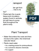 Plant Transport and Water Potential