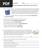 Classwork Natural Selection Worksheet